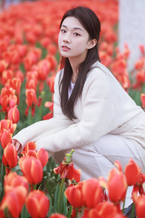 且试天下完整版第一季