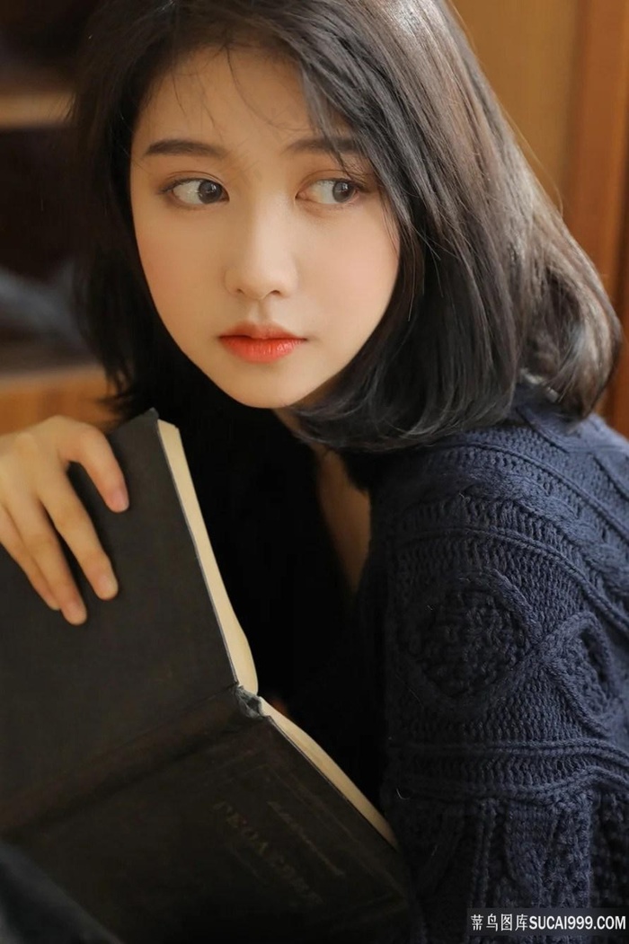 训练篮球体育犬gb